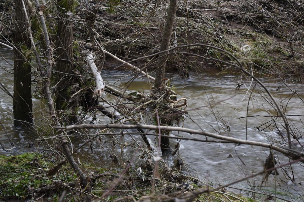 El principal camí del Suanya de Manresa, malmès pel temporal