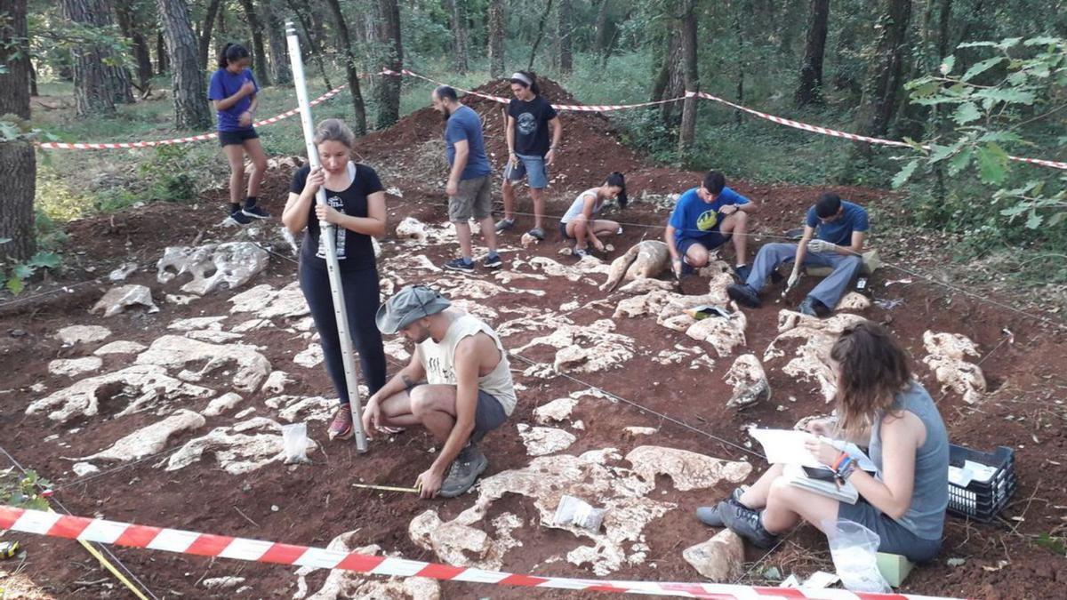 Arqueòlegs feinejant al jaciment de Roca Foradada durant la campanya d’excavacions de 2019. 