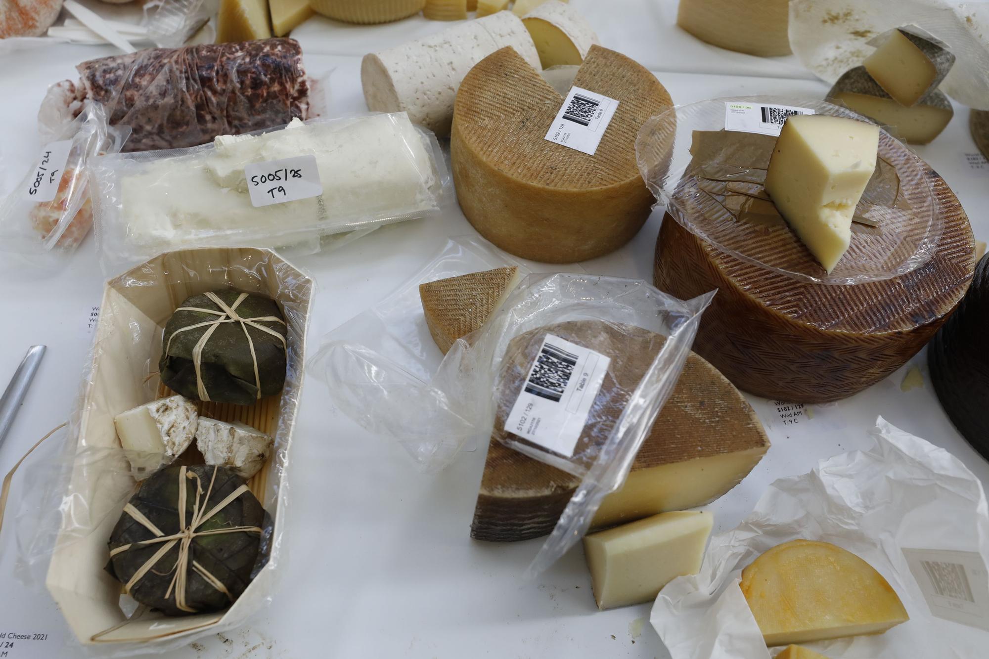 World Cheese Festival: las imágenes de los mejores quesos del mundo