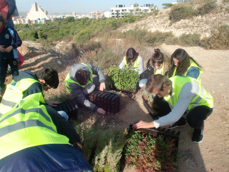 Alumnos del Calasancio con el medio ambiente