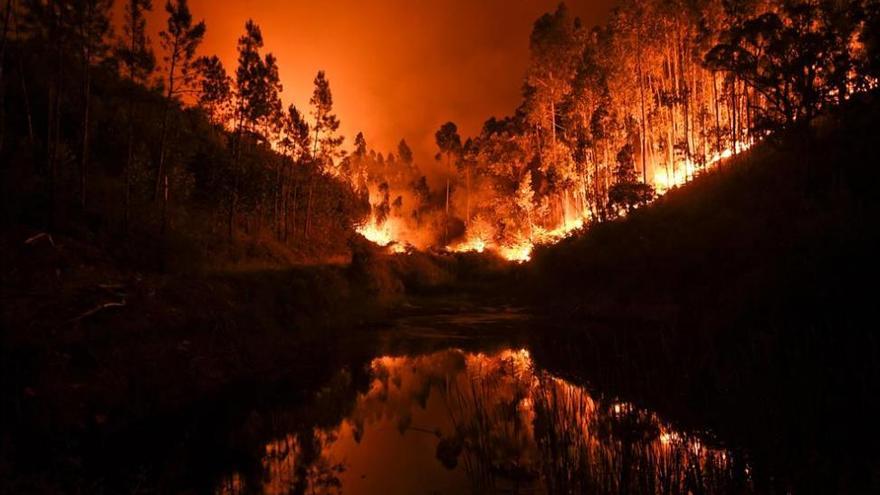 Un violento incendio causa 62 muertos y 62 heridos en el corazón de Portugal