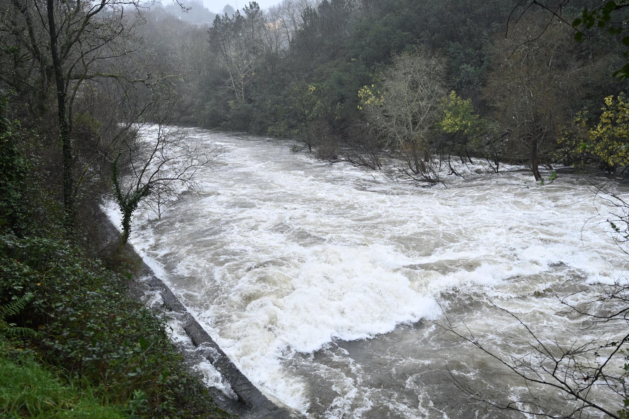 El río Lérez, en alerta por desbordamiento.