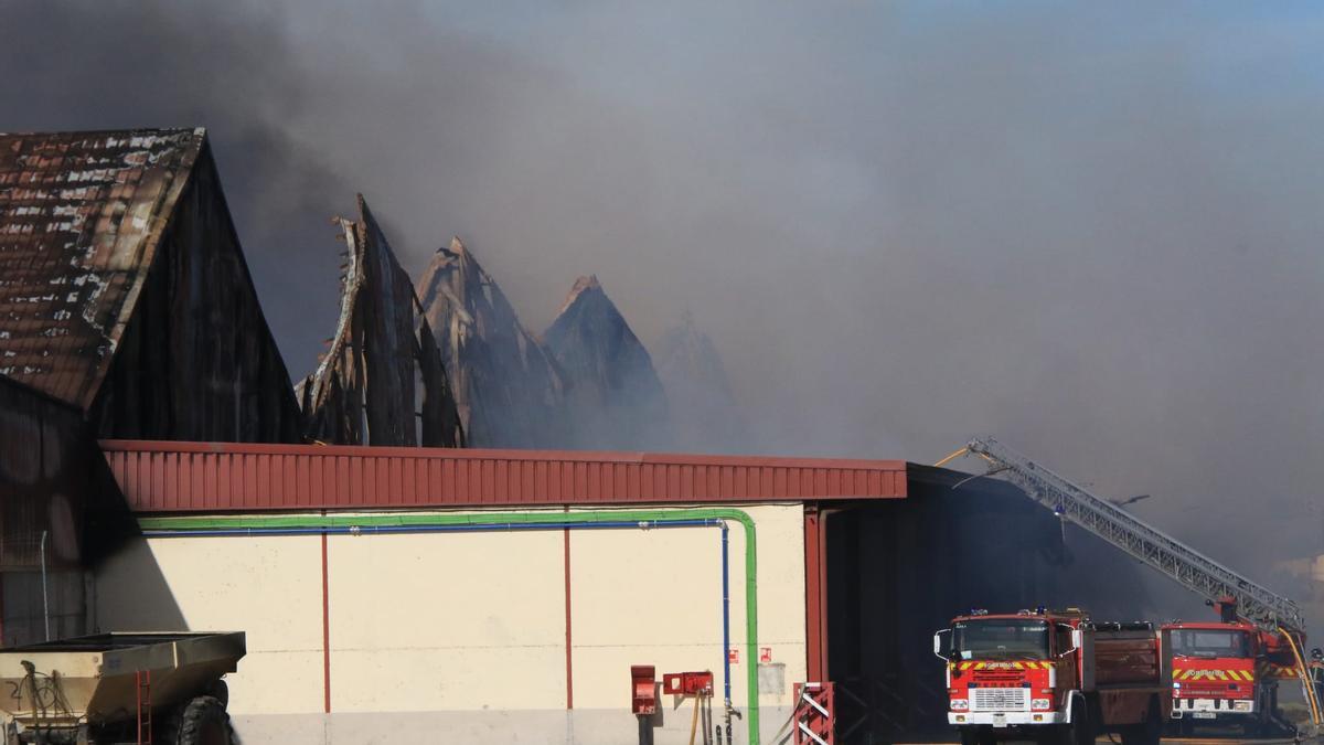 GALERÍA | El día después del incendio en Cobadu