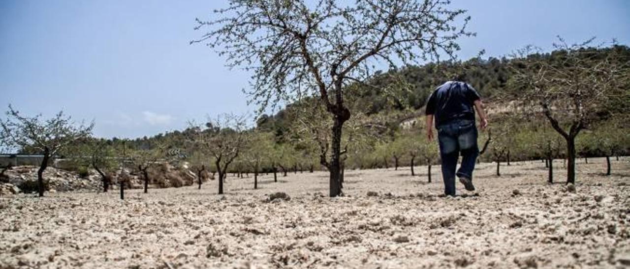 Agricultura subvenciona a 0,23 euros/m3 el agua desalada