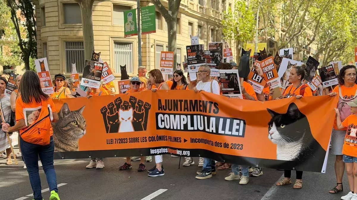 Niu de Petjades de Sant Fruitos participa en una manifestació per a la protecció de les colònies felines