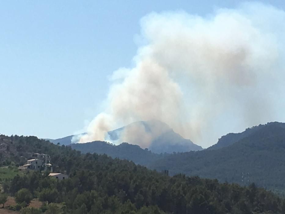 Waldbrand bei Puigpunyent