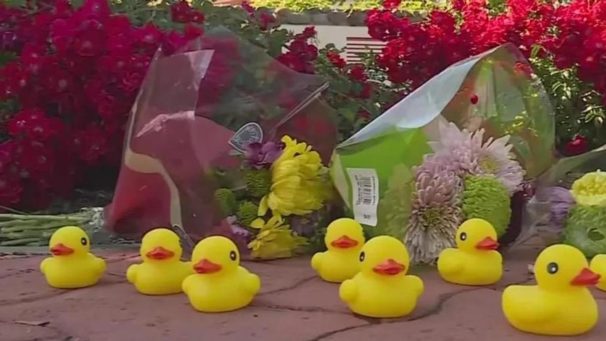 Memorial con flores y patitos de goma en honor a Casey Rivara, que murió atropellado el jueves 18 de mayo de 2023 tras ayudar a los animales.