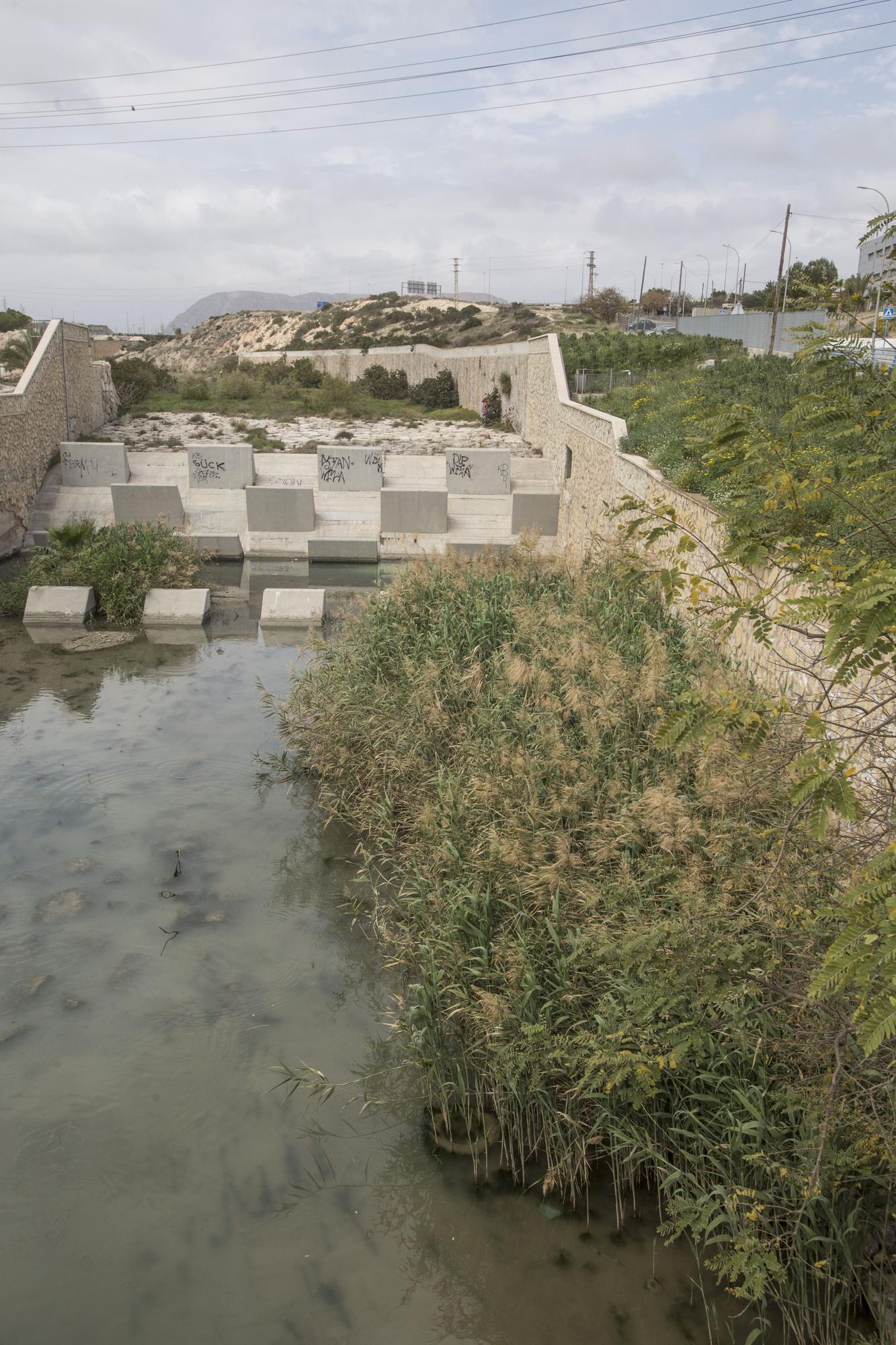 Nadie quiere limpiar el Barranco de las Ovejas en Alicante