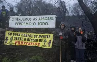 El abandono de tierras, el monocultivo forestal y la pérdida del paisaje mosaico, gasolina para el fuego