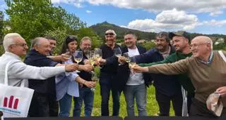 Soutomaior crea una fiesta para sus vinos cosecheros