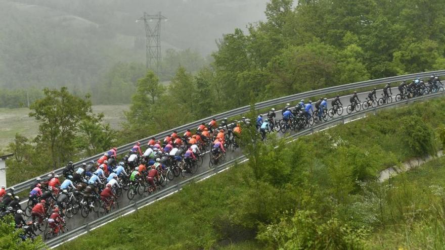 Ackermann se impone al esprint en Fucecchio y Roglic sigue de rosa