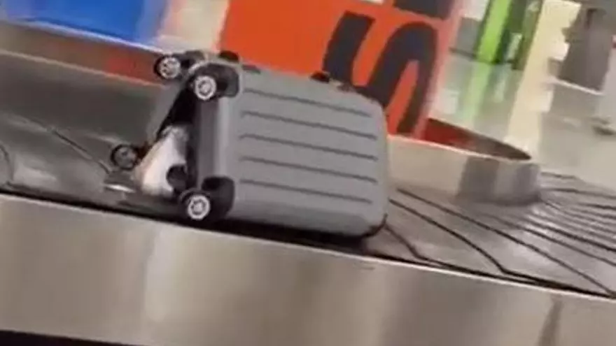 Koffer kamen durchwühlt und geöffnet am Flughafen Mallorca an