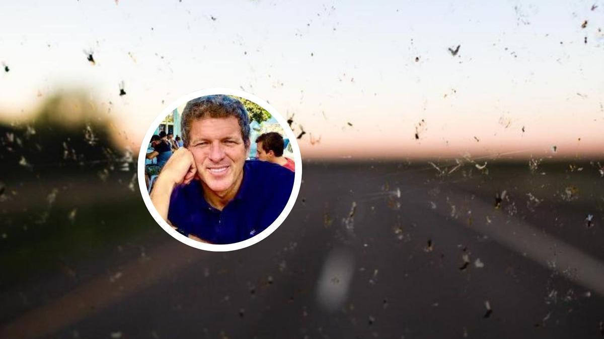 Cada vez chocan menos insectos contra nuestros coches, declara el meteorólogo Mario Picazo