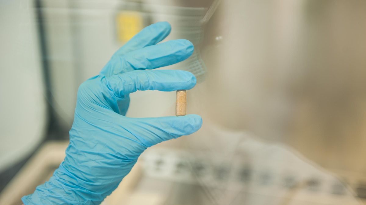 Càpsules de microbiota fabricades per l'IDIBELL i el HUB