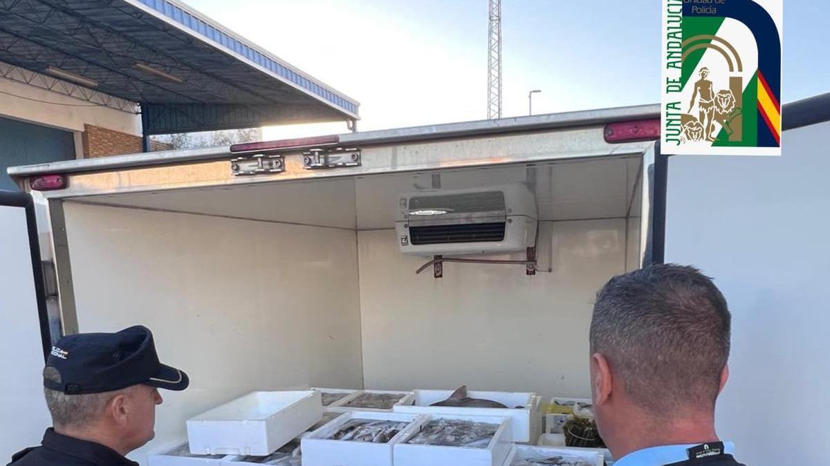 Agentes de la Unidad de Policía Nacional Adscrita a la Comunidad Autónoma de Andalucía en Huelva.