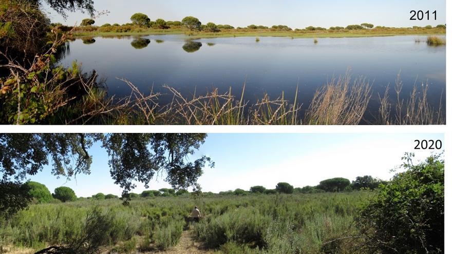 Las impactantes imágenes que evidencian la agonía de Doñana por falta de agua