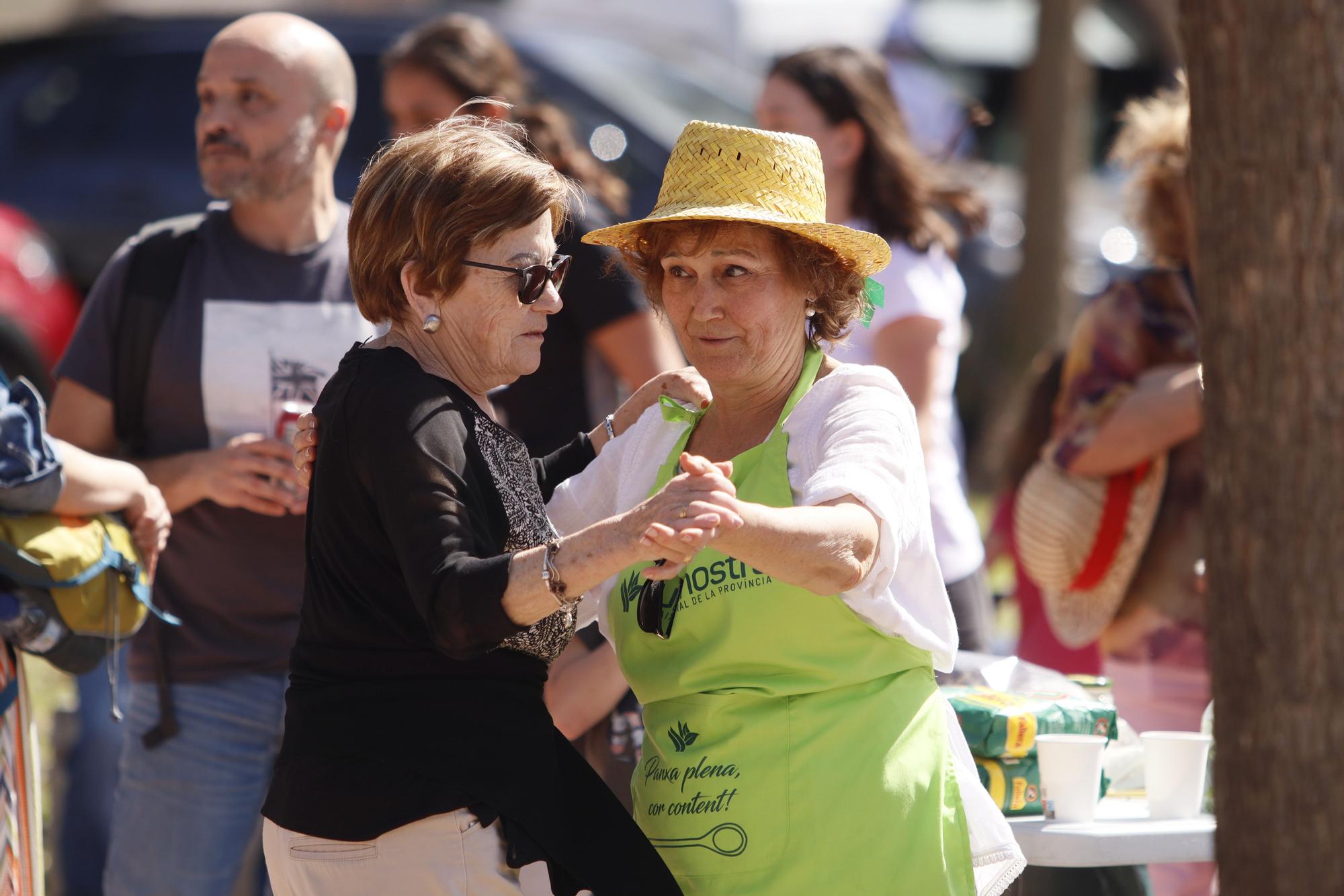 Todas las imágenes del concurso de paellas de intercollas de la Magdalena 2023