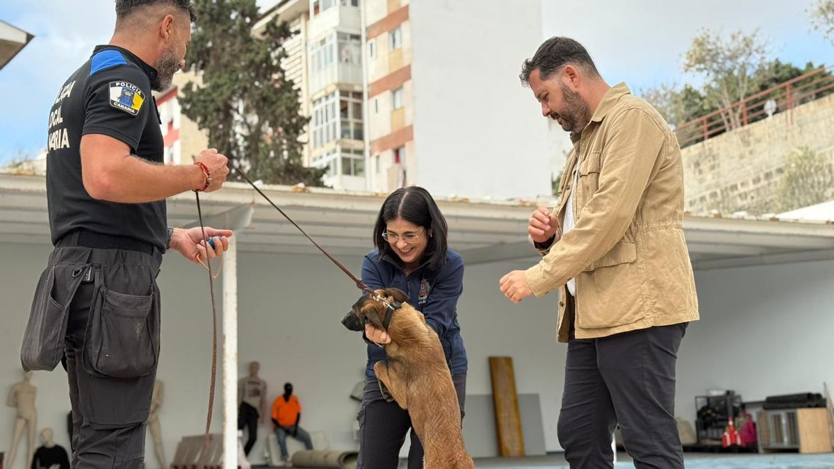 Darias e Iñiguez conocen a los nuevos agentes caninos de la Policía Local