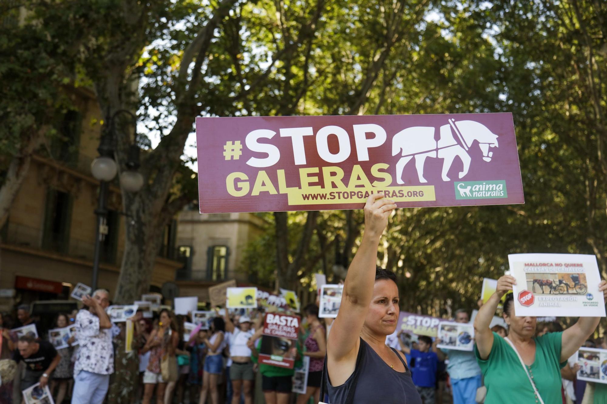 Cientos de personas exigen en Palma &quot;el fin de la explotación de los caballos de galeras&quot;