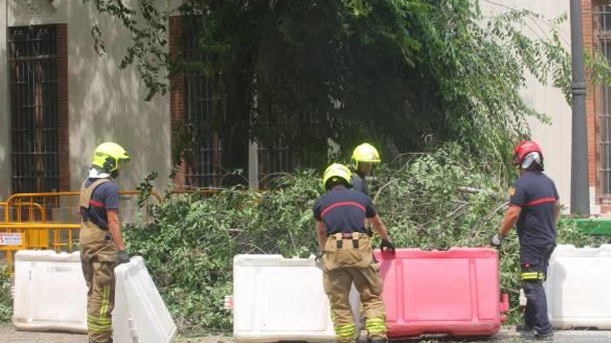 Los bomberos retiran las ramas del árbol de la calzada ayer.