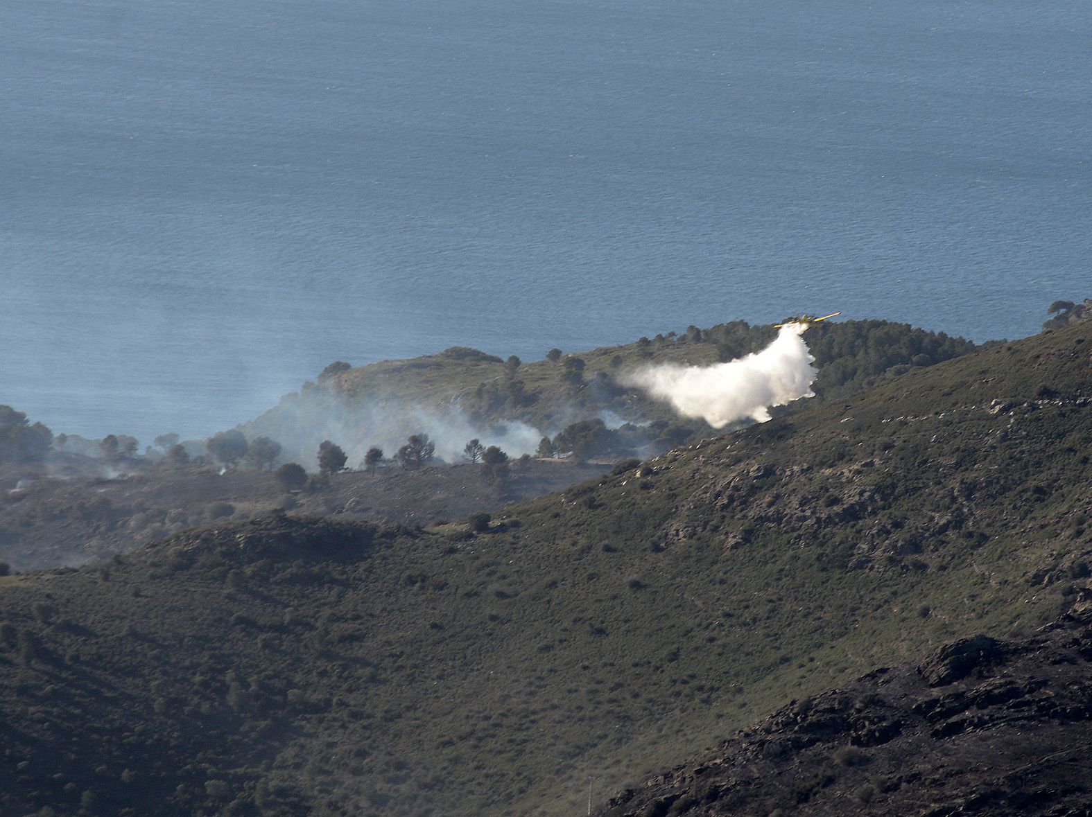 Gran incendi forestal a Roses