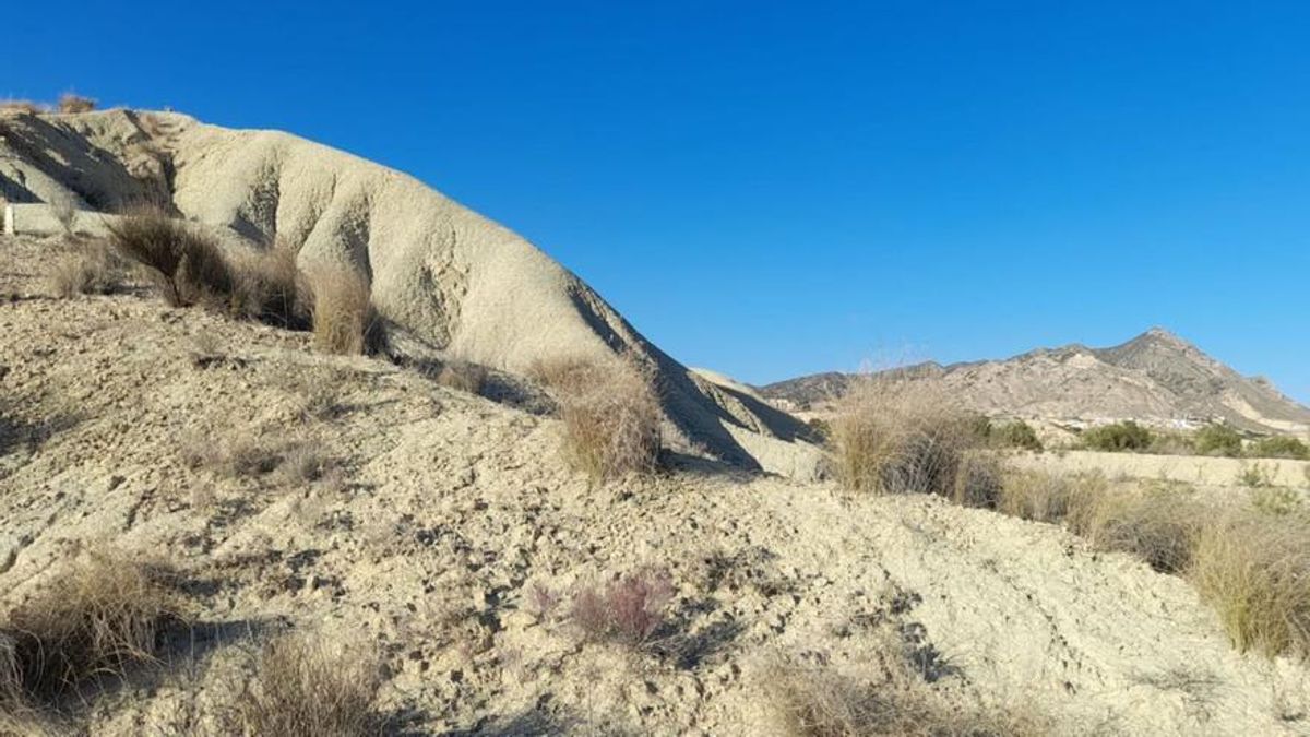 Los efectos de la desertificación en la Región son visibles