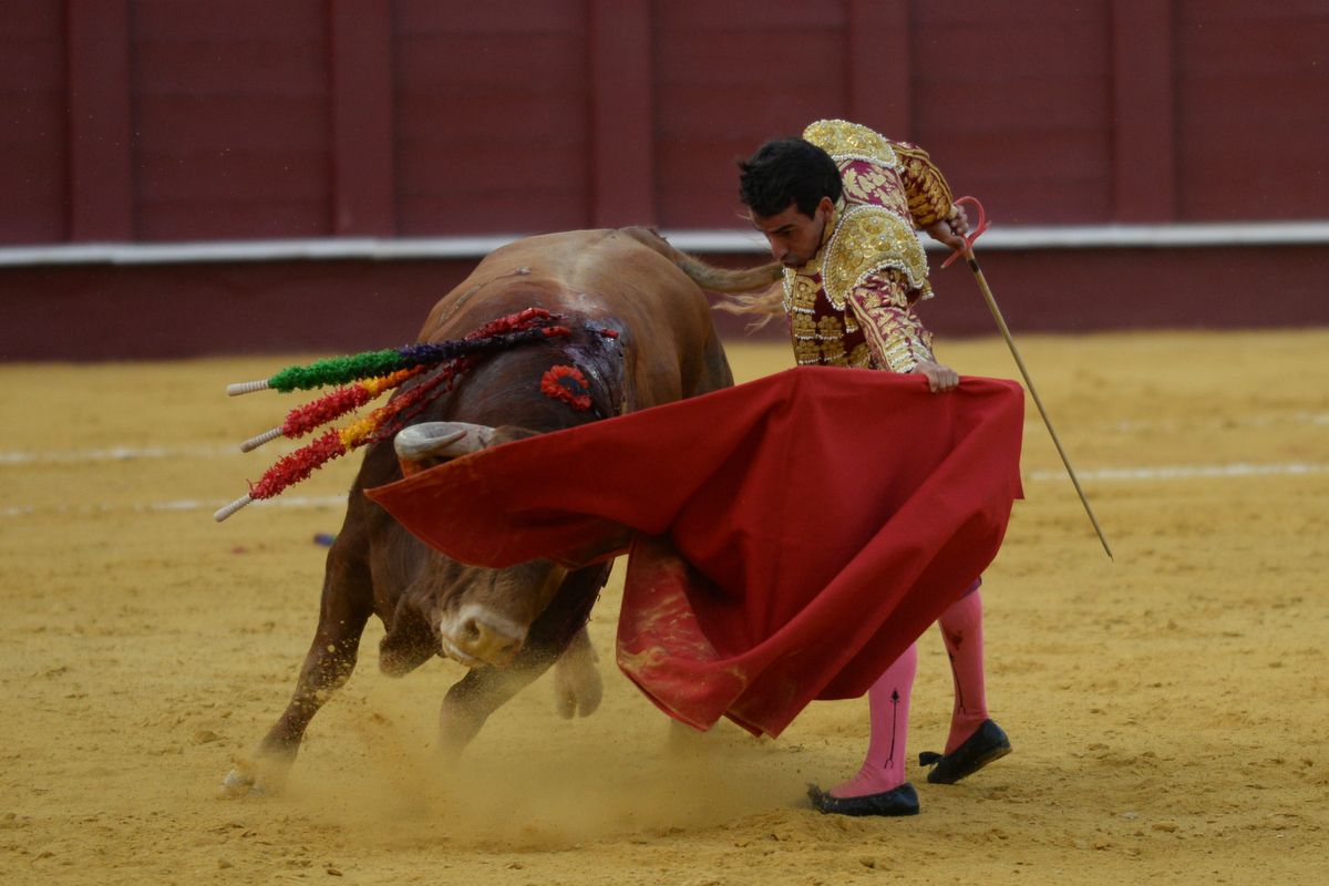 Las imágenes de la novillada en La Malagueta de la Feria taurina de Málaga de 2021.