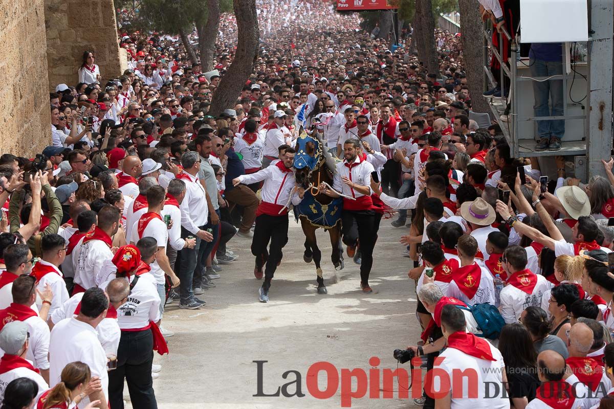 Así ha sido la carrera de los Caballos del Vino en Caravaca