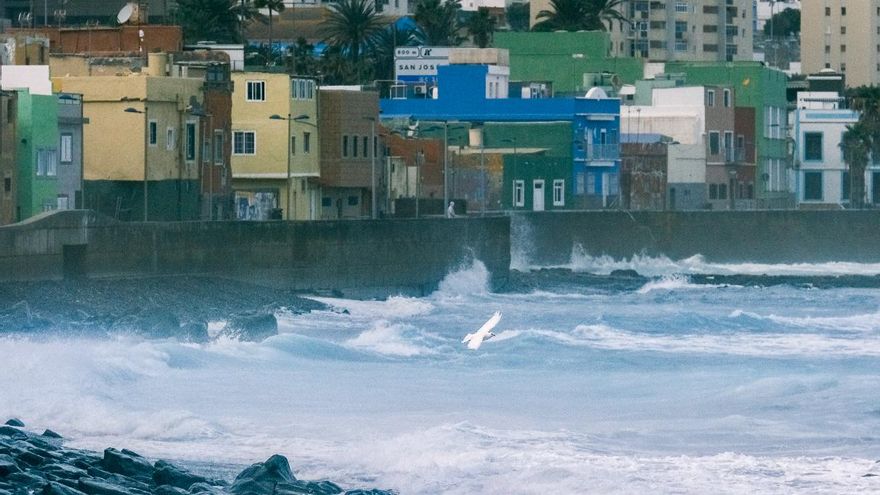 Canary Islands Weather Update: This Friday’s Forecast