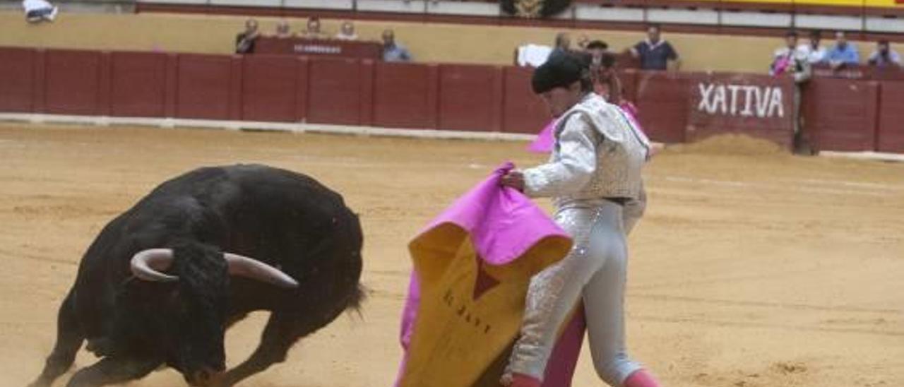 El Ayuntamiento de Xàtiva recula y asegura ante el juzgado que no ha prohibido los toros