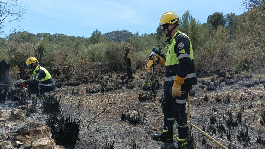 Un incendio forestal arrasa unos 1.500 metros cuadrados en Son Servera