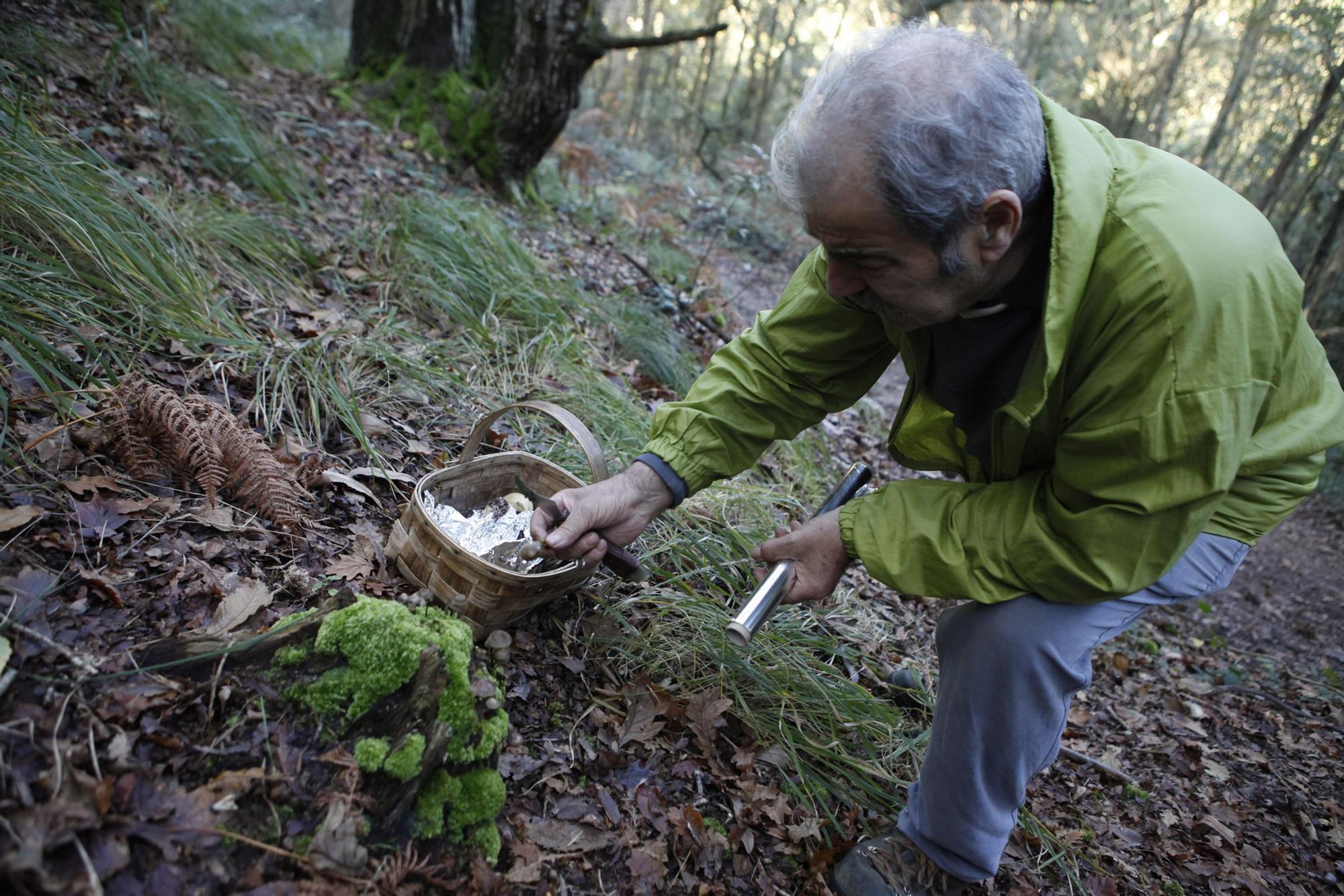 Las 100 fotos que demuestran que el otoño es la mejor época para conocer Asturias