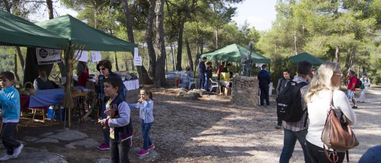 Visitantes al poblado íbero de Moixent en una jornada de puertas abiertas, hace unos años. | PERALES IBORRA