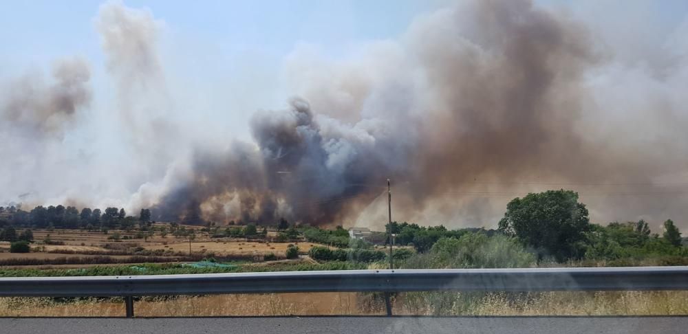 Incendi forestal a Sant Fruitós de Bages