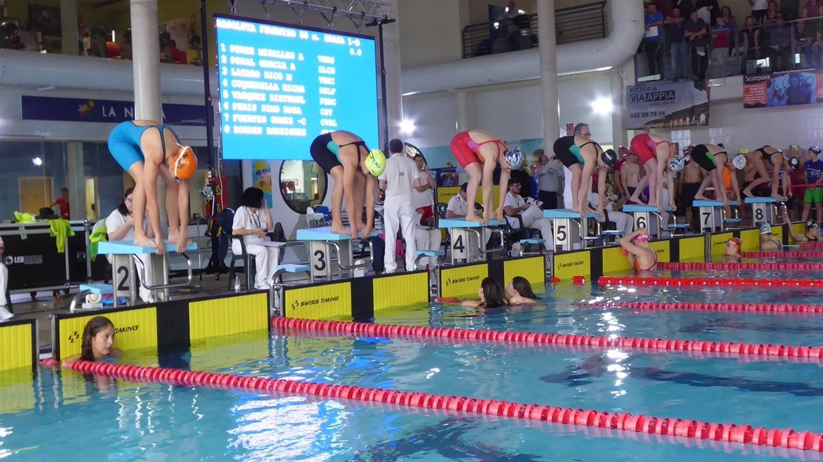 La piscina de olímpica de Castellón ha sido la sede del autonómico