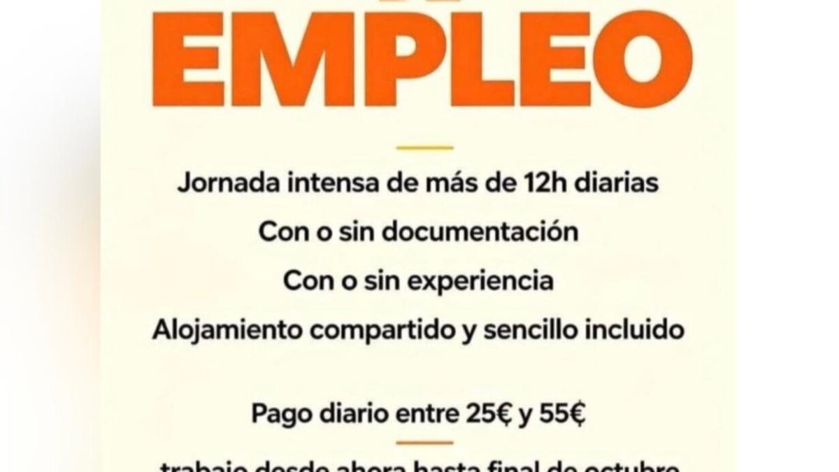 Fragmento de la oferta de empleo con la que Soy Camarero replica a las declaraciones de Feijóo sobre el absentismo laboral.