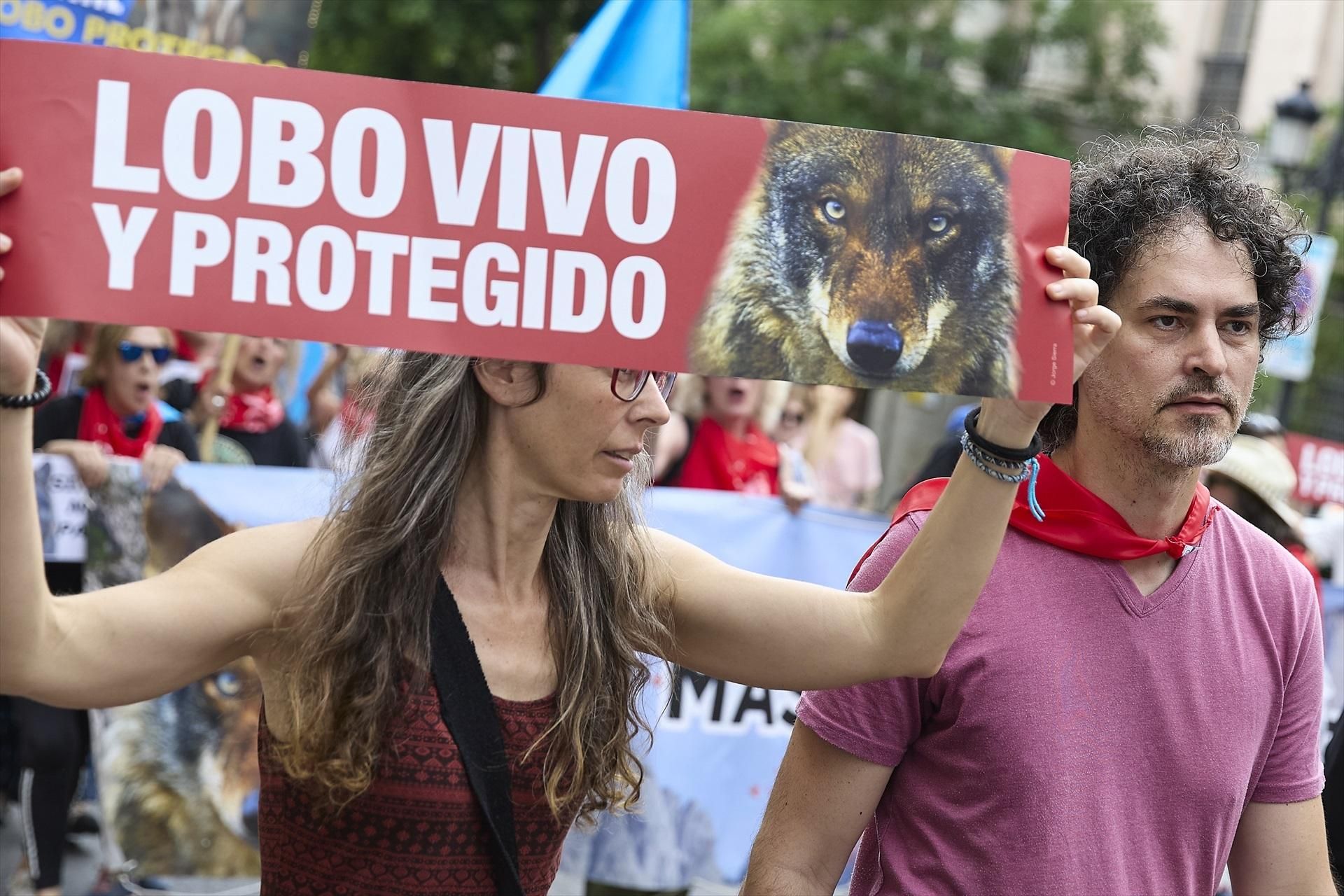 Las imágenes de la manifestación en Madrid por el lobo