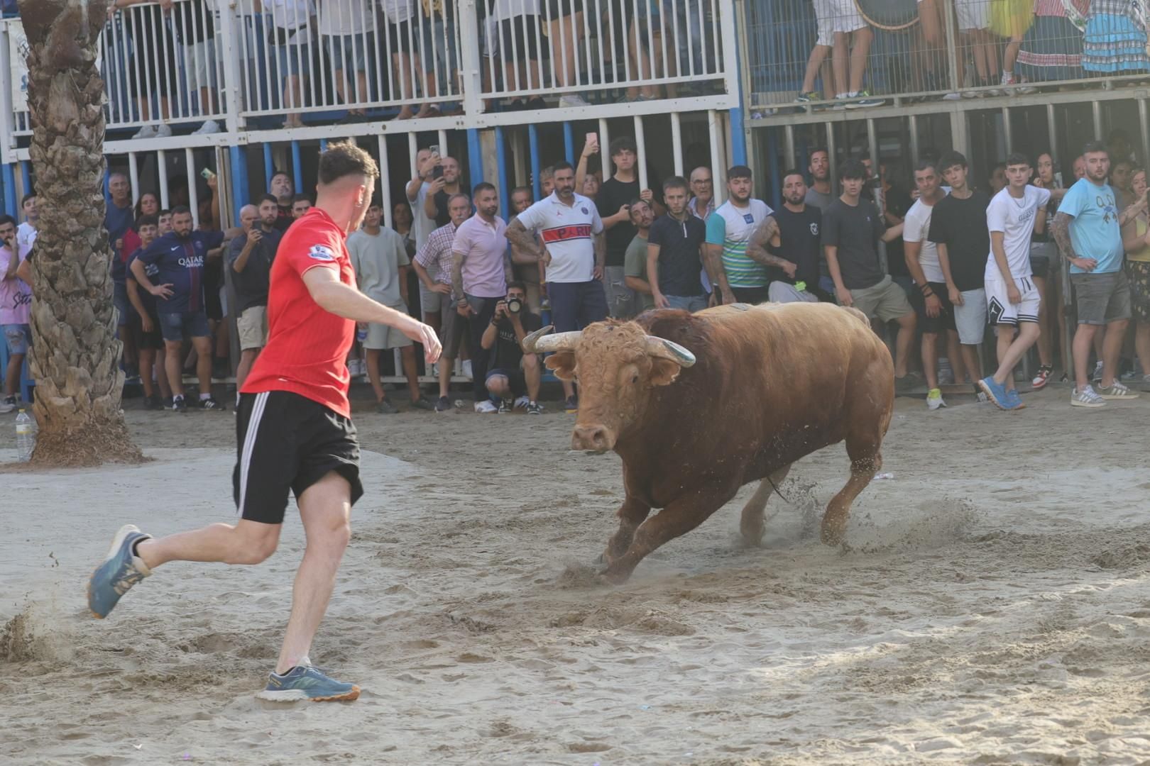 Galería | Intensa jornada taurina en Sant Pere 2025