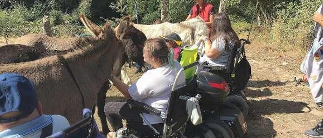 Personas disfrutando de la terapia con burros. // FdV