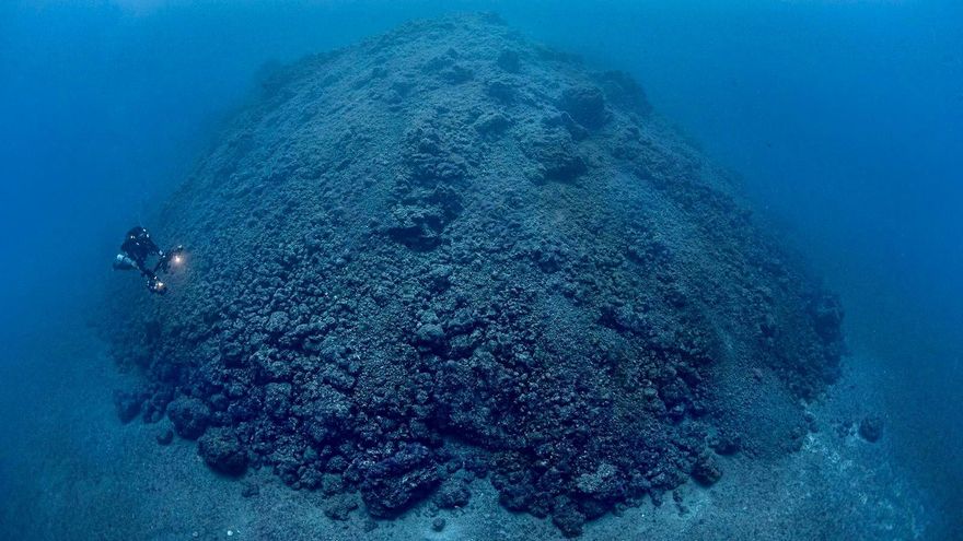Los fondos marinos de la fajana de La Palma se inundan de vida