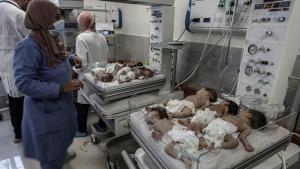 Bebes prematuros antes de atravesar la frontera egipcia