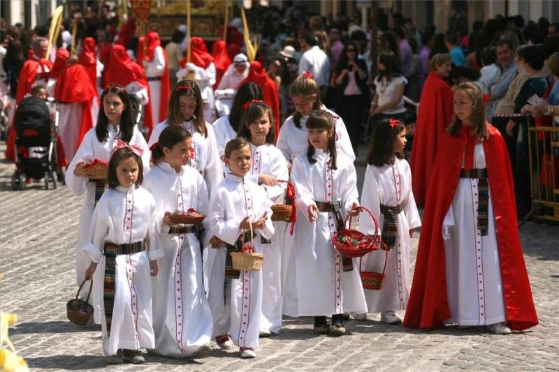 Domingo de Ramos en la provincia