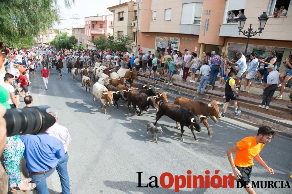 Séptimo encierro en Moratalla