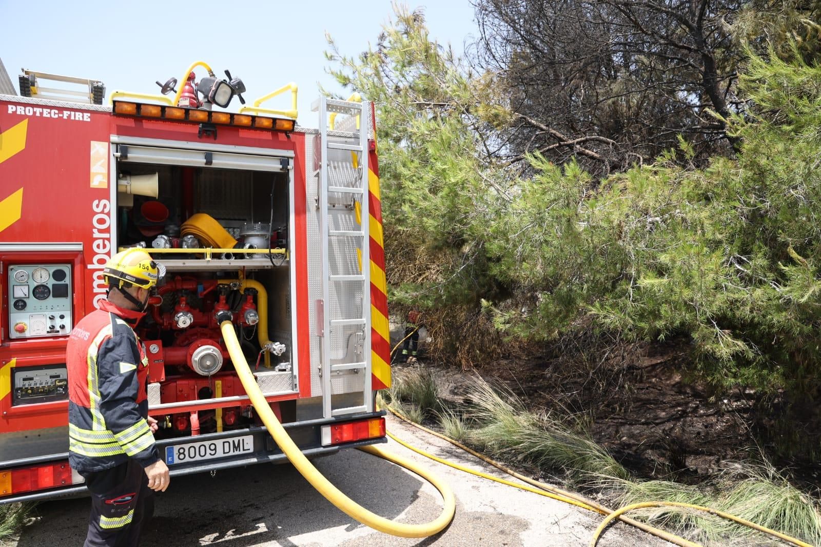 Los bomberos sofocan un fuego junto a la salida del túnel de la autovía
