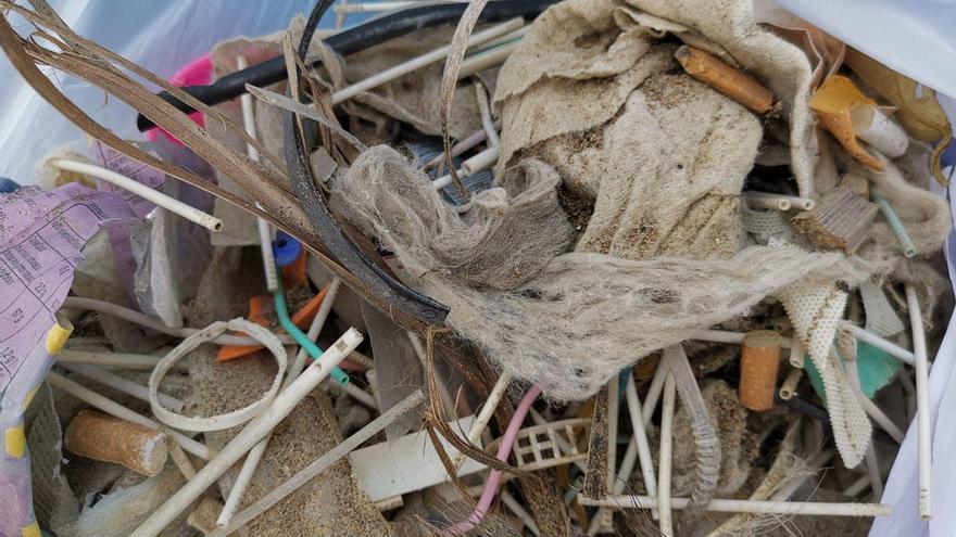 Interior de una de las bolsas de basura recogida este domingo.