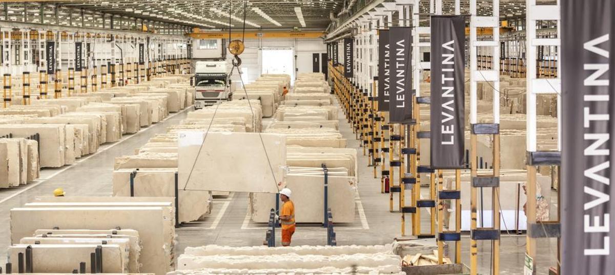 Imagen de archivo de una planta de Levantina