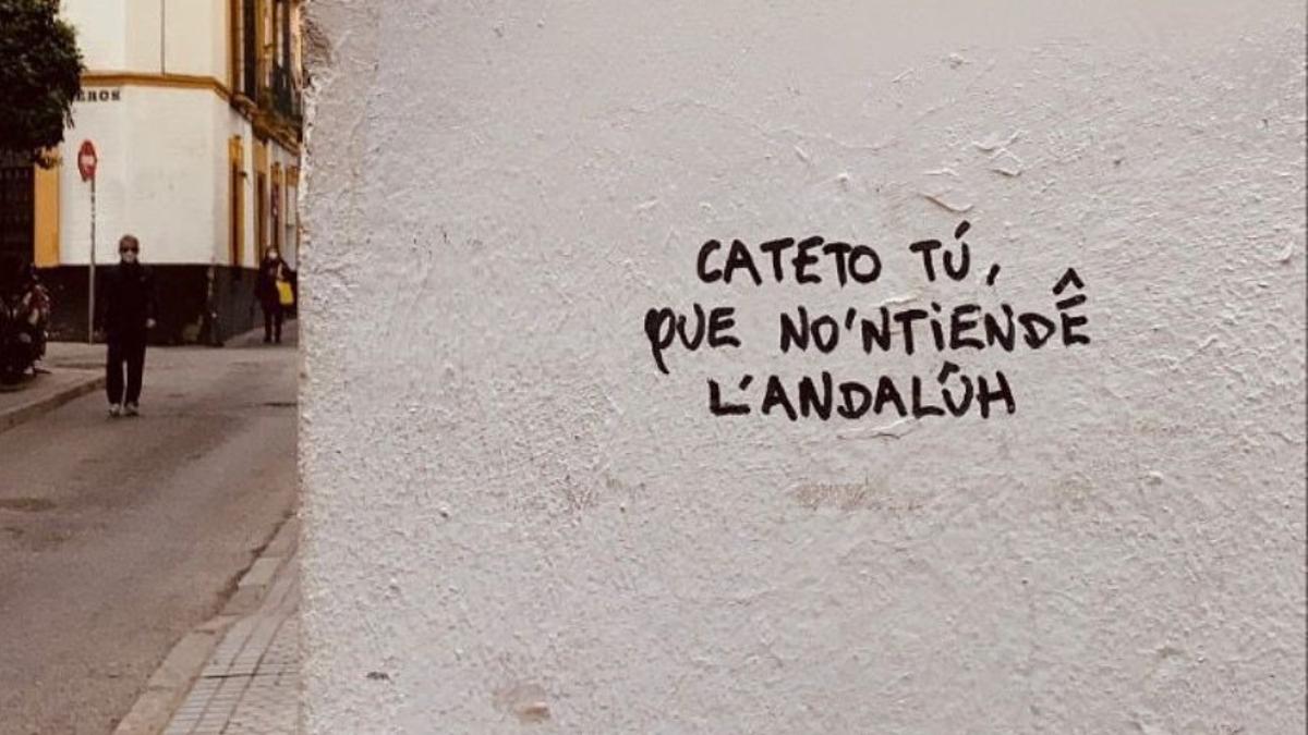 Pintada reivindicativa del andaluz.