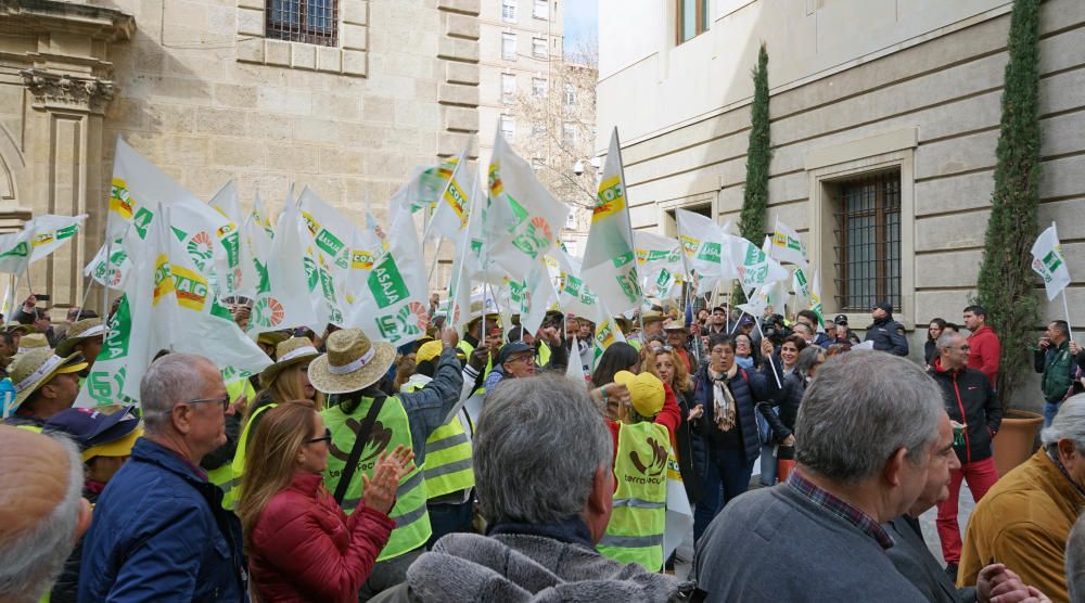 Así ha sido la manifestación de los agricultores