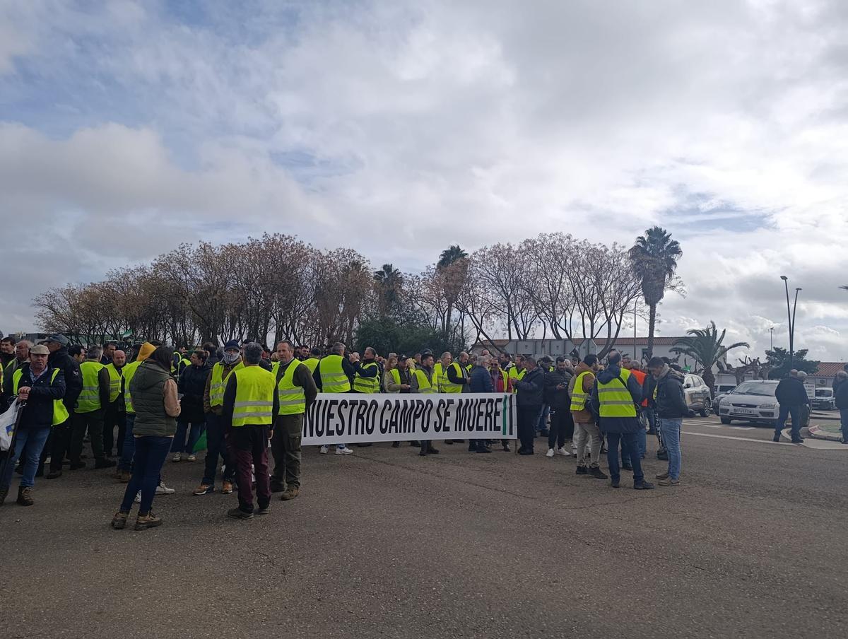 Corte de la carretera N-430.