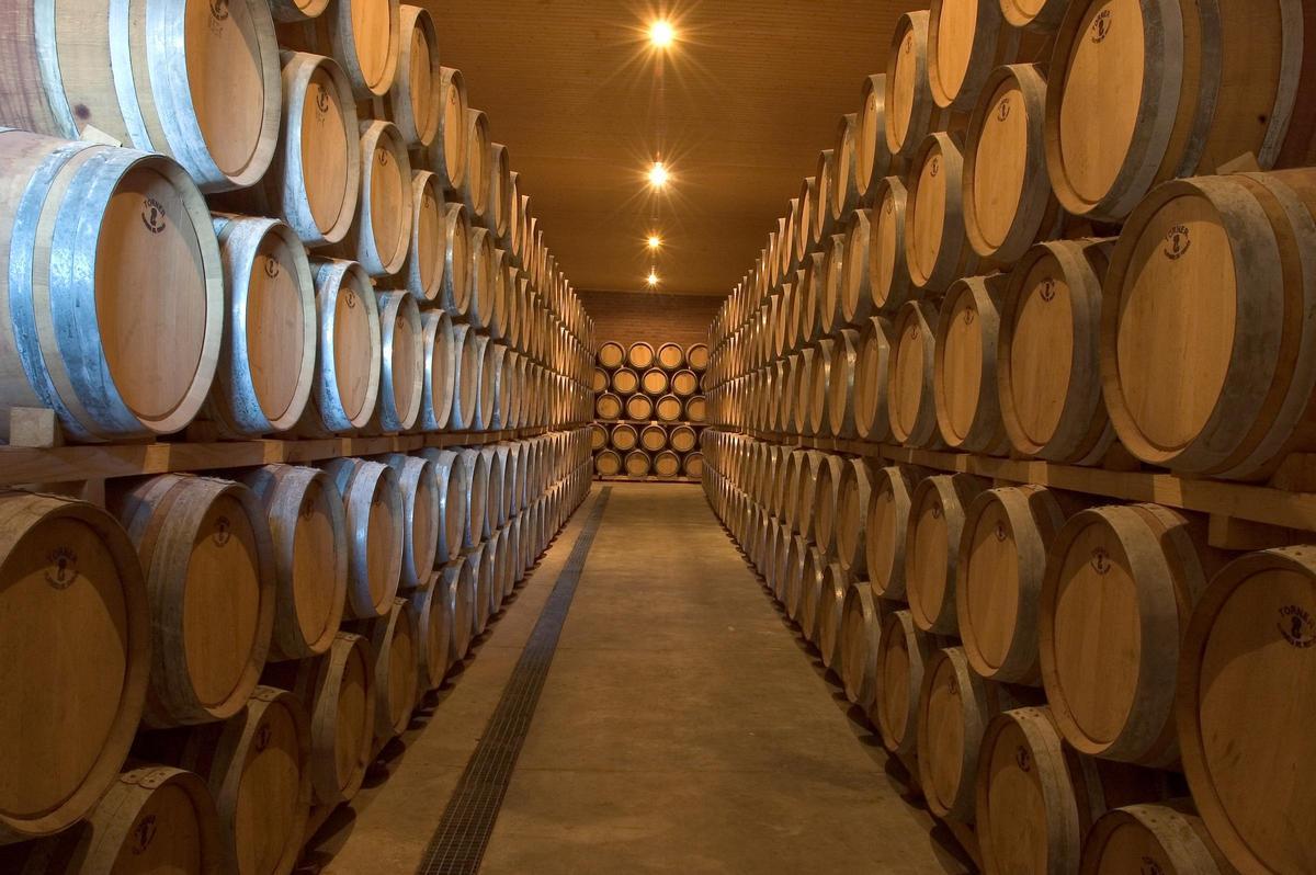 En la actualidad, la DO Cariñena está integrada por 16 municipios y 25 bodegas.